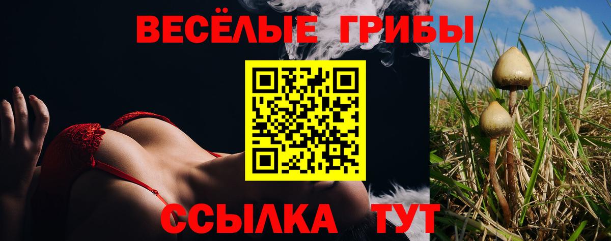 Галлюциногенные грибы GOLDEN TEACHER Белово