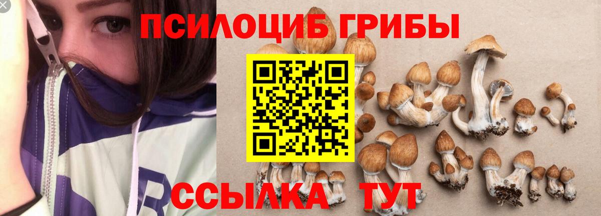 Белово  Галлюциногенные грибы GOLDEN TEACHER  Вход с VPN 